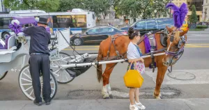 New York Carriage